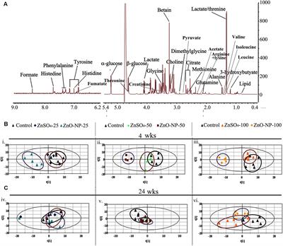 Zinc Oxide Nanoparticle Caused Plasma Metabolomic Perturbations Correlate with Hepatic Steatosis